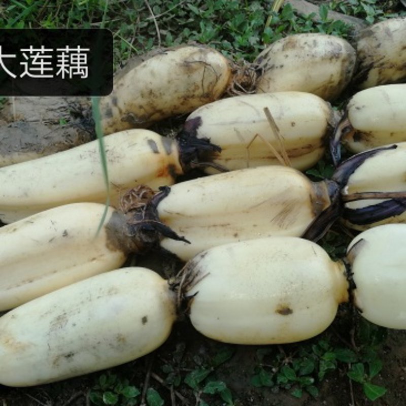 泗阳商品批发,让您的生活五彩斑斓